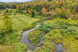 187 Gulf Rd, Roscoe, NY 12776 - Photo 39
