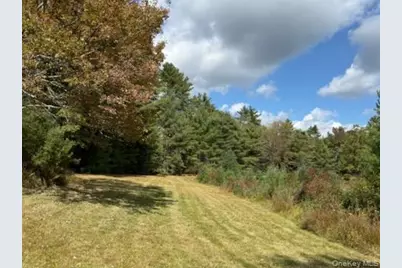 2758 State Route 42, Forestburgh, NY 12777 - Photo 9
