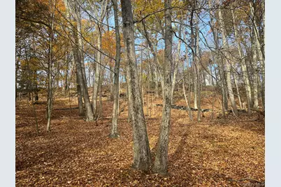 0 Olsen Road, Rhinebeck, NY 12572 - Photo 17