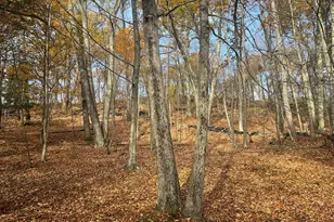 0 Olsen Rd, Rhinebeck, NY 12572 - Photo 17