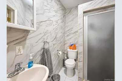 65 Mother Gaston Boulevard, Brooklyn, NY 11233 - Photo 19