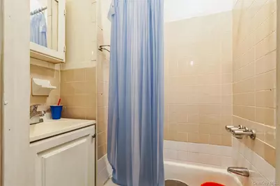 21 Somers Street, Brooklyn, NY 11233 - Photo 13