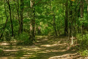 915 Palmer Rd Ext, Claverack, NY 12521 - Photo 37
