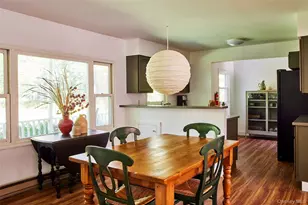 452 White Roe Lake Rd, Livingston Manor, NY 12758 - Photo 15