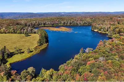 452 White Roe Lake Road, Livingston Manor, NY 12758 - Photo 5