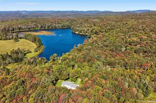 452 White Roe Lake Rd, Livingston Manor, NY 12758 - Photo 33