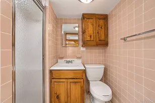 711 Covert Ave, New Hyde Park, NY 11040 - Photo 19