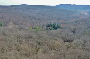 517A Old Chappaqua Rd, Briarcliff Manor, NY 10510 - Photo 15