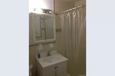 42-60 Colden Street #1B, Flushing, NY 11355 - Photo 9