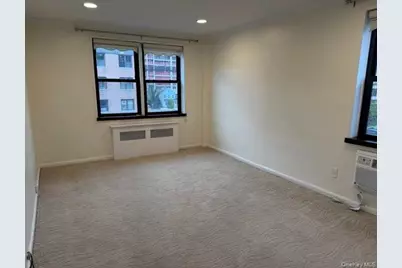 3 Birchwood Court #4M, Mineola, NY 11501 - Photo 9