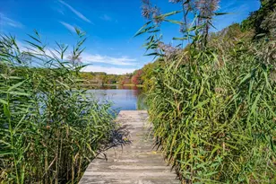 29 Dixon Lake Dr, Mahopac, NY 10541 - Photo 41