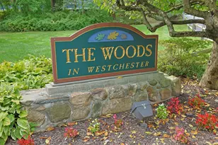 172 Woods Brooke Cir, Ossining, NY 10562 - Photo 37