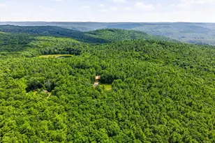142 Split Rock Dr, Barryville, NY 12719 - Photo 11