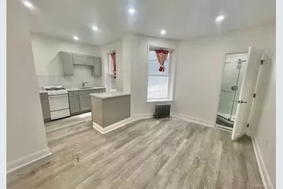196 Lawrence Avenue, Brooklyn, NY 11230 - Photo 3