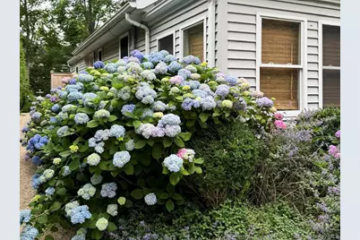 77 Hillcrest Avenue, Southampton, NY 11968 - Photo 21