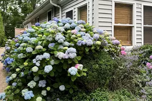 77 Hillcrest Ave, Southampton, NY 11968 - Photo 21