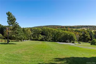 415 Waterbury Hill Rd, Lagrangeville, NY 12540 - Photo 43