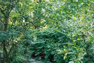 72 Rock City Rd, Woodstock, NY 12498 - Photo 47