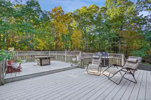 54 White Pond Rd, Stormville, NY 12582 - Photo 21