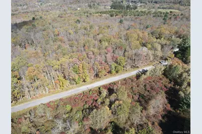 204-214 Okeefe Hill Road, Parksville, NY 12768 - Photo 27