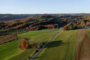 102 Radio Tower Rd, Callicoon, NY 12723 - Photo 5