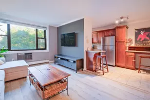 25 Stewart Pl, Mount Kisco, NY 10549 - Photo 11