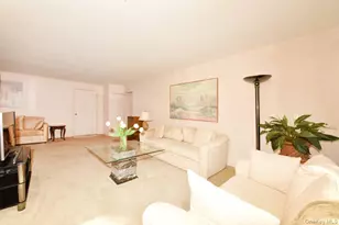 6 Birchwood Ct, Mineola, NY 11501 - Photo 3