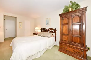 6 Birchwood Ct, Mineola, NY 11501 - Photo 11