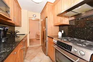 6 Birchwood Ct, Mineola, NY 11501 - Photo 9
