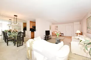 6 Birchwood Ct, Mineola, NY 11501 - Photo 5