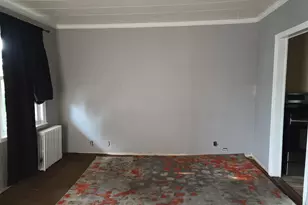 236 Holland Ave, Elmont, NY 11003 - Photo 3