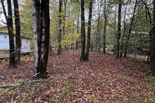 6 W Oakland Dr, Bethel, NY 12720 - Photo 5
