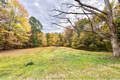 1336 Route 343, Dover Plains, NY 12522 - Photo 41