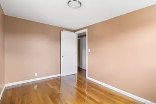 40 Carnegie Ave, Elmont, NY 11003 - Photo 25