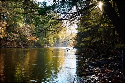 461 Silvernails Road, Pine Plains, NY 12567 - Photo 7