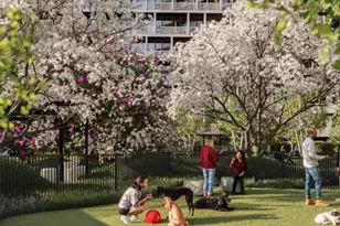 13102B 40th Rd, Flushing, NY 11354 - Photo 25