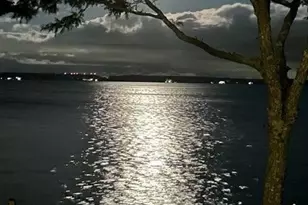 599 Peconic Bay Blvd, Jamesport, NY 11947 - Photo 13