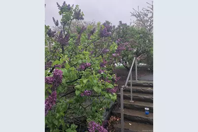 2385 Barker Avenue #5L, Bronx, NY 10467 - Photo 13