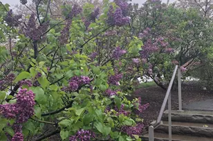 2385 Barker Ave, Bronx, NY 10467 - Photo 13