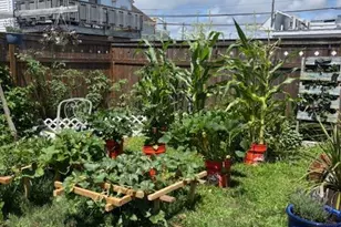 [Address not provided], Long Beach, NY 11561 - Photo 3