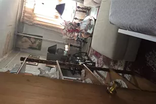 495 Halsey St, Brooklyn, NY 11233 - Photo 15