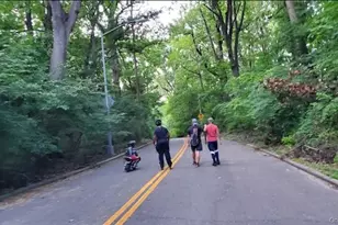 118-82 Metropolitan Ave, Kew Gardens, NY 11415 - Photo 25