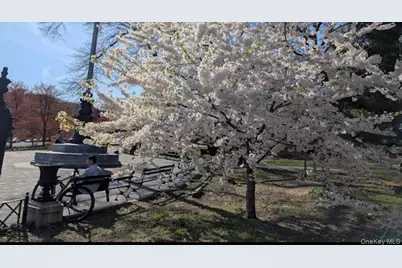 118-82 Metropolitan Avenue #1B, Kew Gardens, NY 11415 - Photo 27