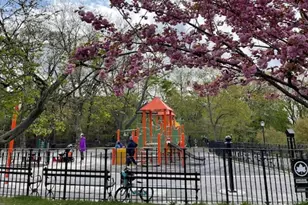 118-82 Metropolitan Ave, Kew Gardens, NY 11415 - Photo 21