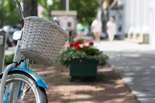 21 Tarpon Rd, East Quogue, NY 11942 - Photo 11