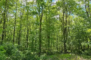 7599 State Route 97, Narrowsburg, NY 12764 - Photo 39