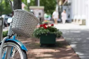 8 Hyler Dr, Hampton Bays, NY 11946 - Photo 13