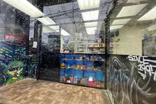 1733 Zerega Ave, Bronx, NY 10462 - Photo 5