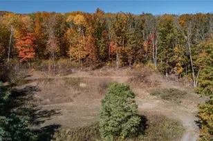 "Cascade House" Cascade Mountain Rd, Amenia, NY 12501 - Photo 17