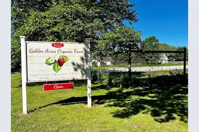 254 Meeting House Creek Road, Aquebogue, NY 11931 - Photo 29